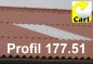 Preview: Lichtwellplatte Profil 6