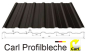 Preview: Carl Profilbleche - Trapez 18-0,50 mm ° 5 Platten a´ 6 m inkl. 1 x Lichtplatte